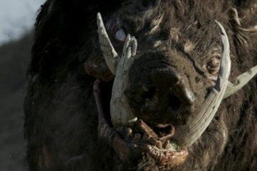 boar 2017 creature