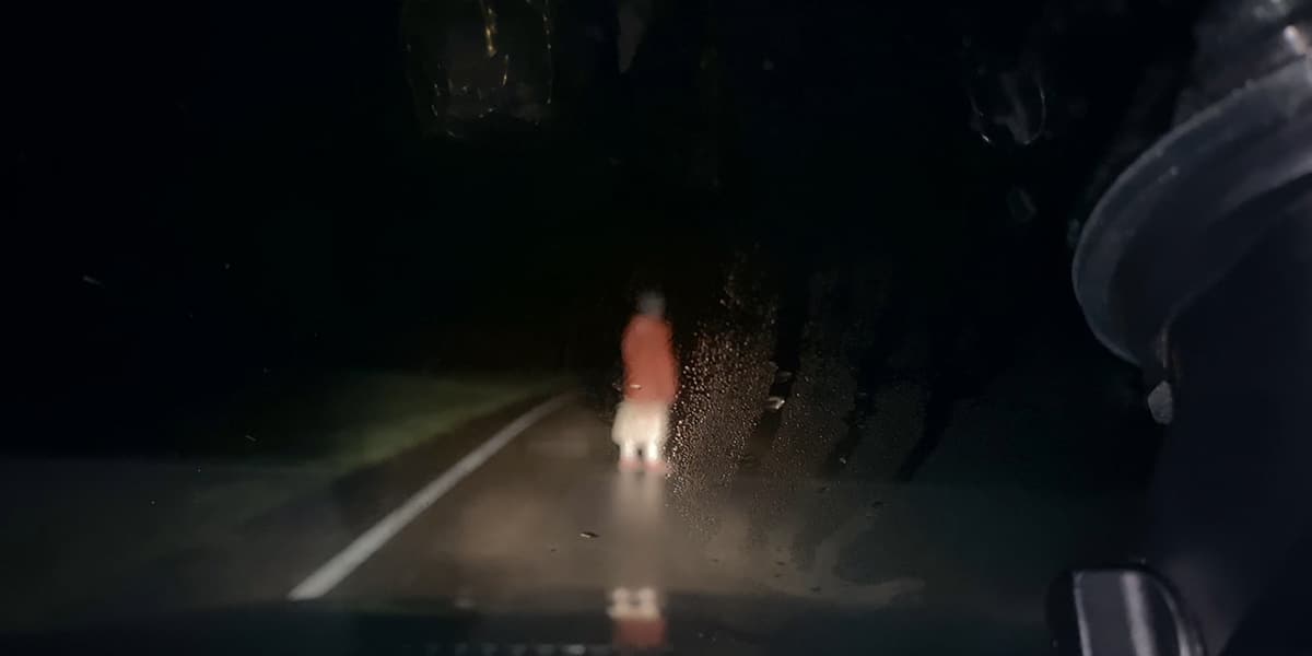 dashcam-2021-rob-savage