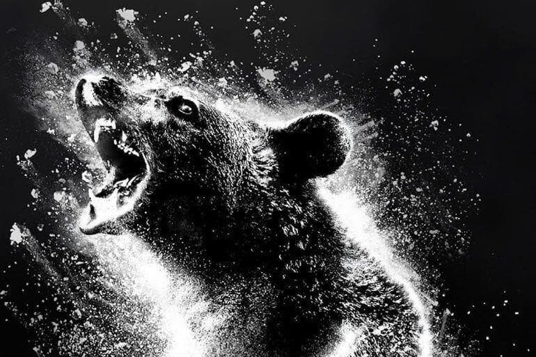 cocaine bear black and white