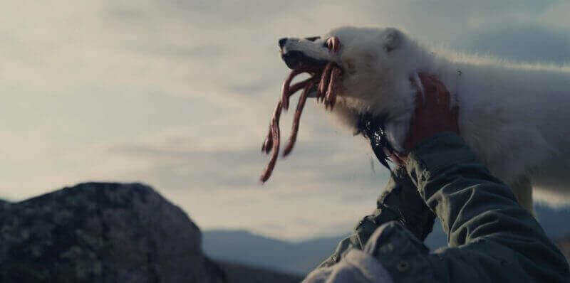 slash back alien bear