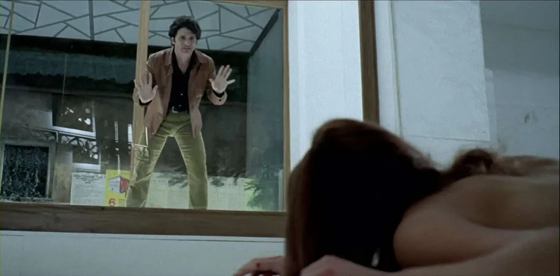 the bird with the crystal plumage 1970