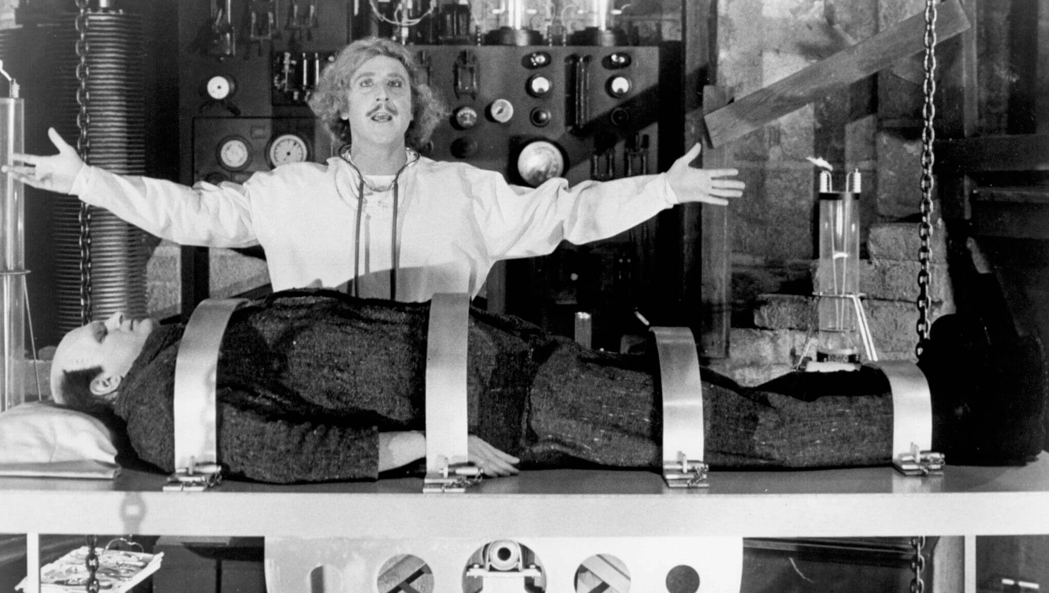 young frankenstein 1974