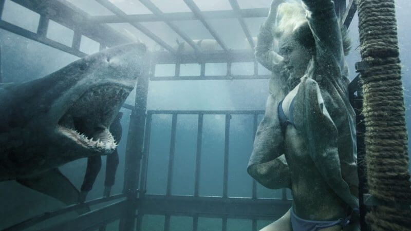 Shark Night 3 D 2011 The 10 Best Shark Movies that Aren't Jaws (Because We Know You've Seen Jaws Already) 12 Shark Night 3-D (2011)