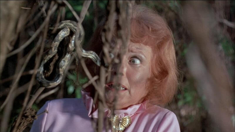 frogs movie 1972 10 Frightfully Festive Birthday Horror Movies That Take The Cake 15 frogs movie 1972 4th of july horror movies